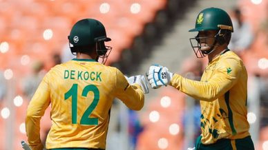 Protea Power in Blue and Gold - QDK, Rickelton and Bosch