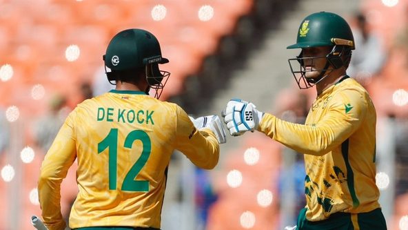 Protea Power in Blue and Gold - QDK, Rickelton and Bosch